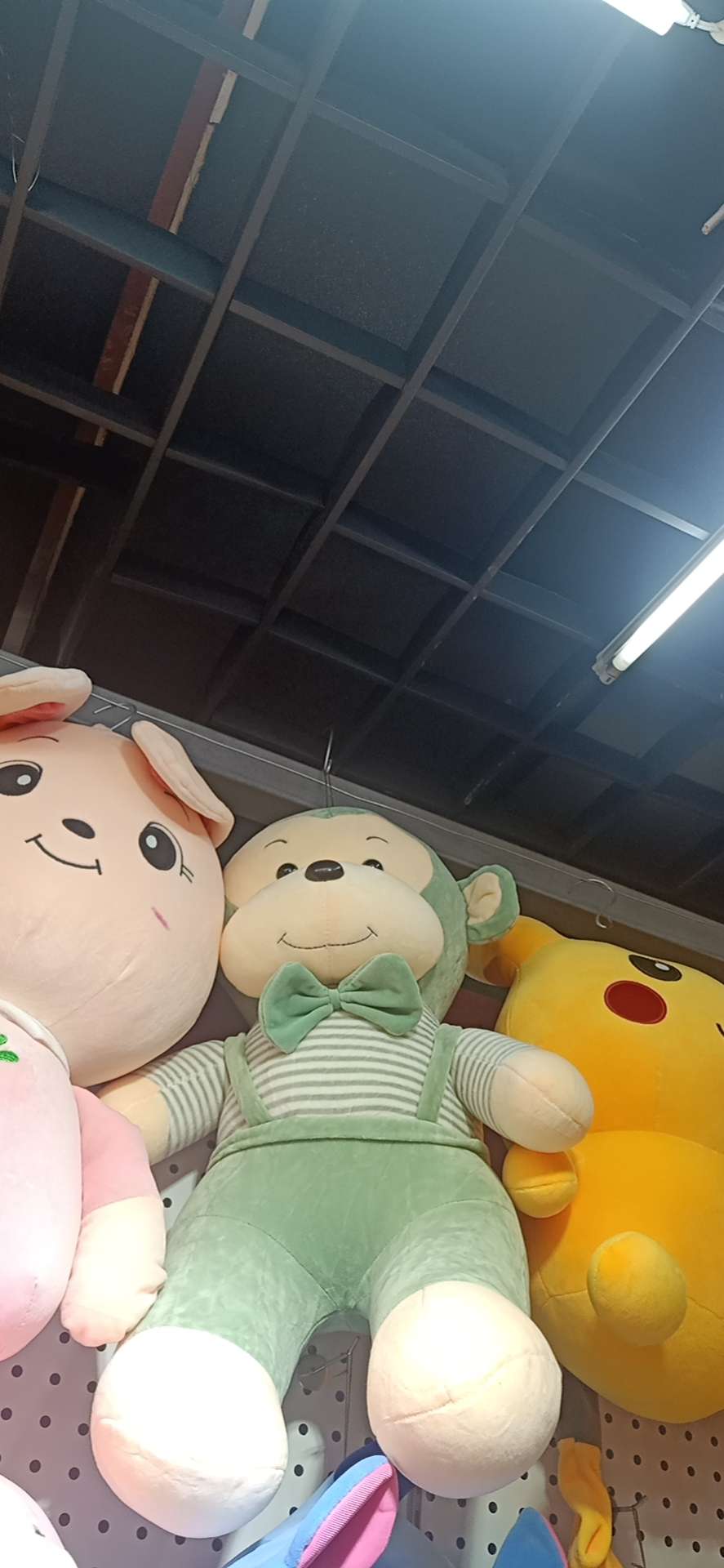 3熊混