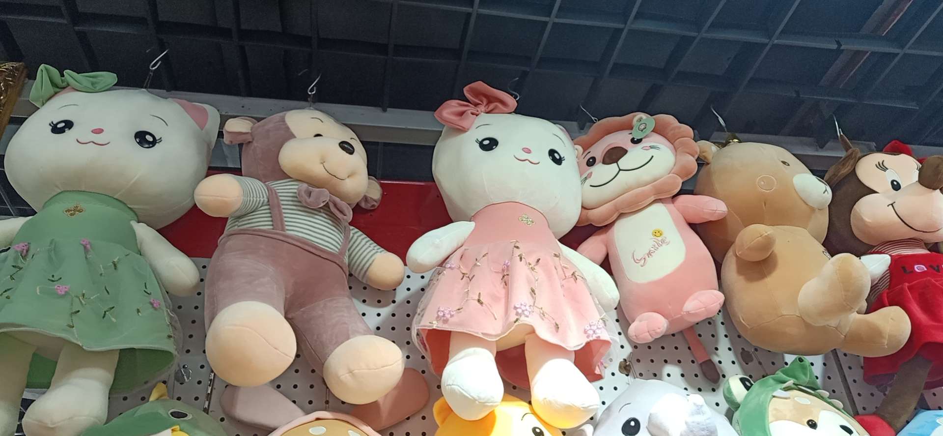 花兔兔