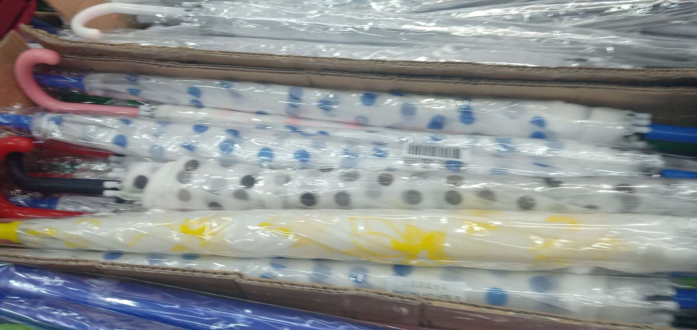 彩园点伞