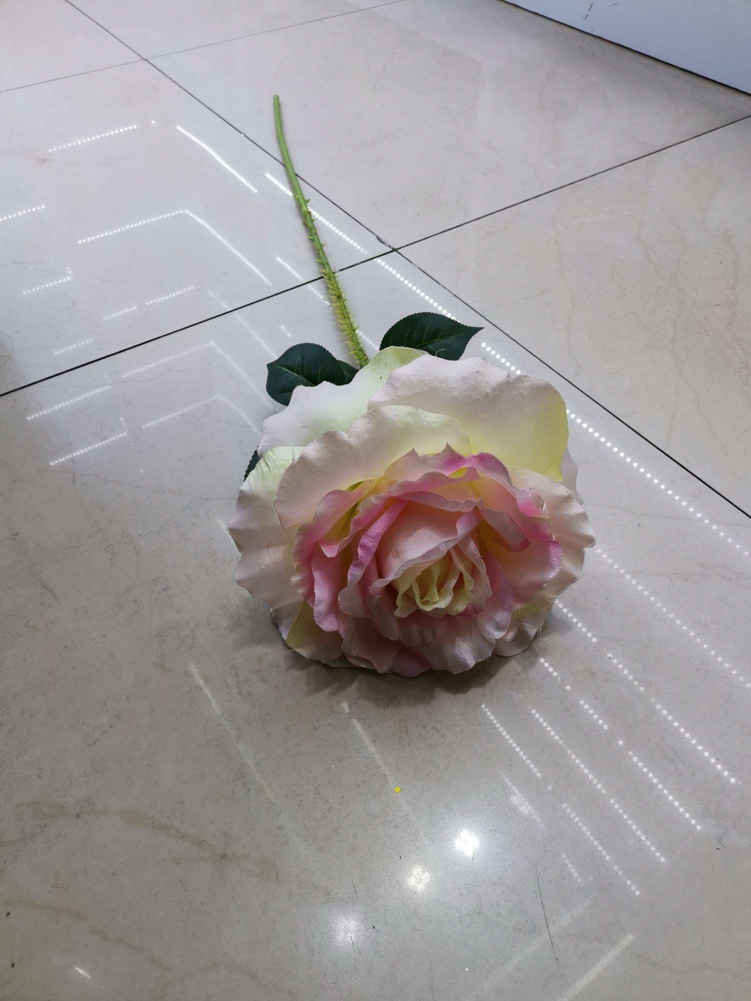 单支新玫瑰花王4