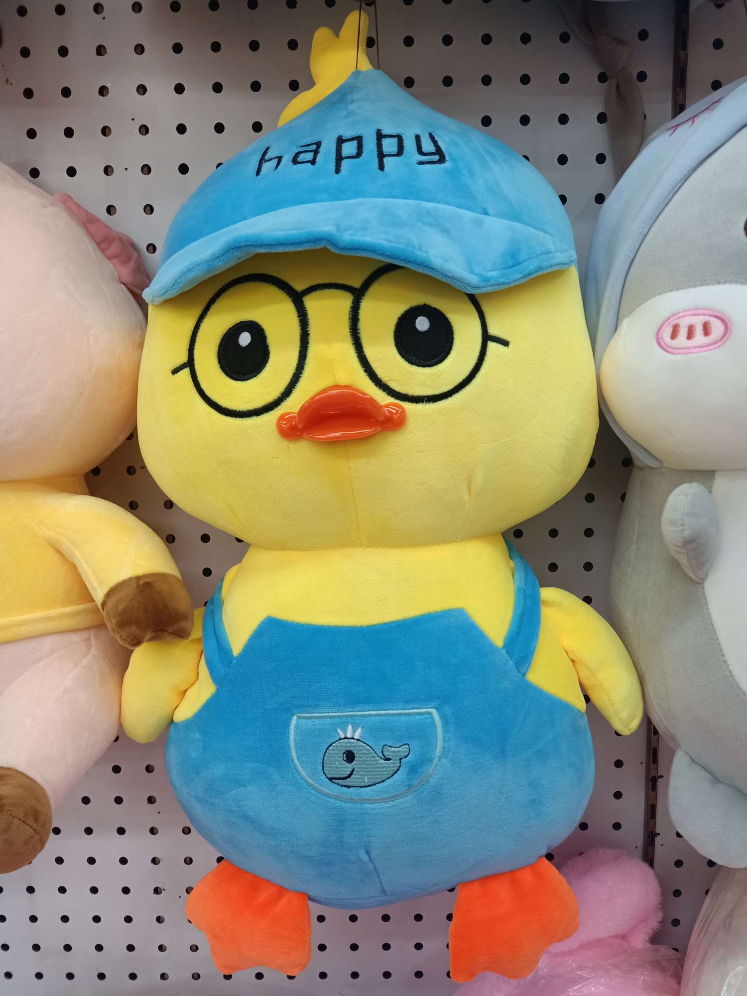 眼镜鸭哥