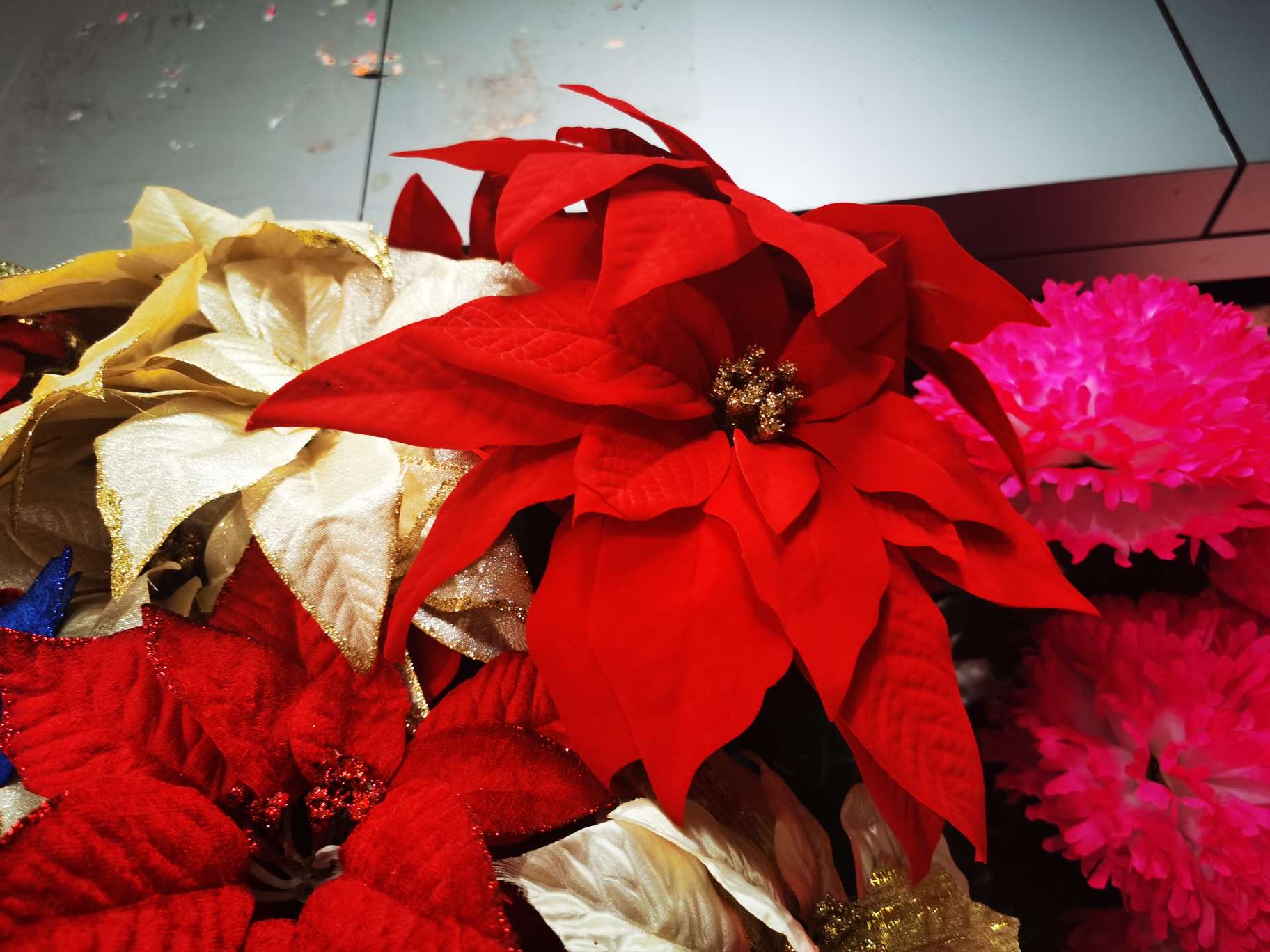 鲜红绒布吉祥圣诞花