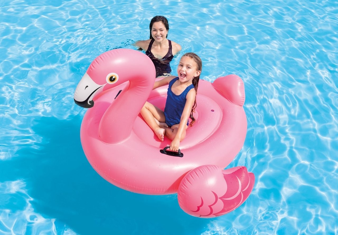 Wholesale of INTEX57558 Little Red Crane Mount inflatable float detail image 1