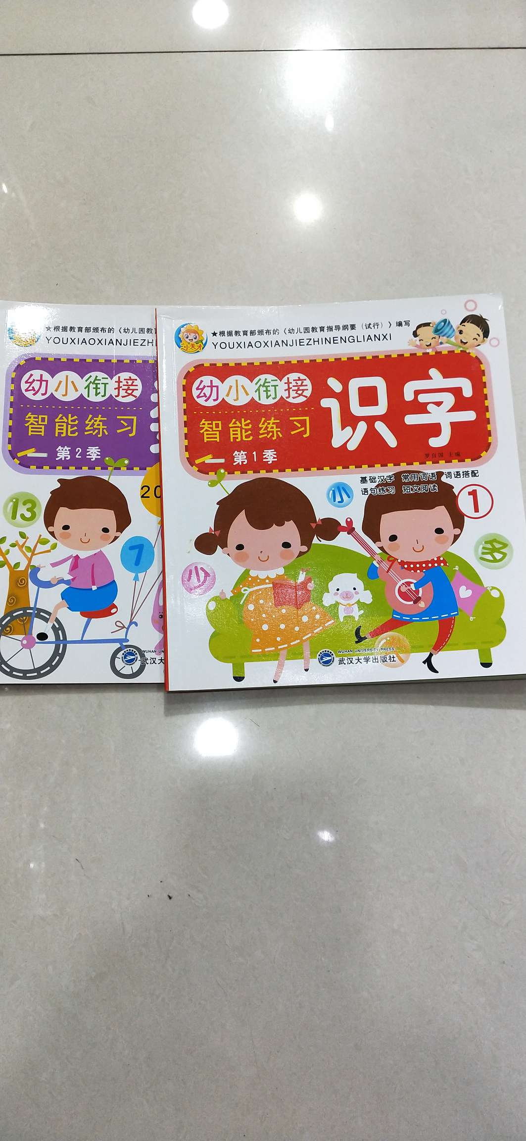 A young literacy book