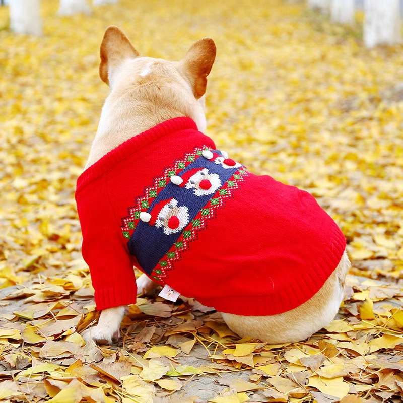 New fall and winter clothes for baby pets