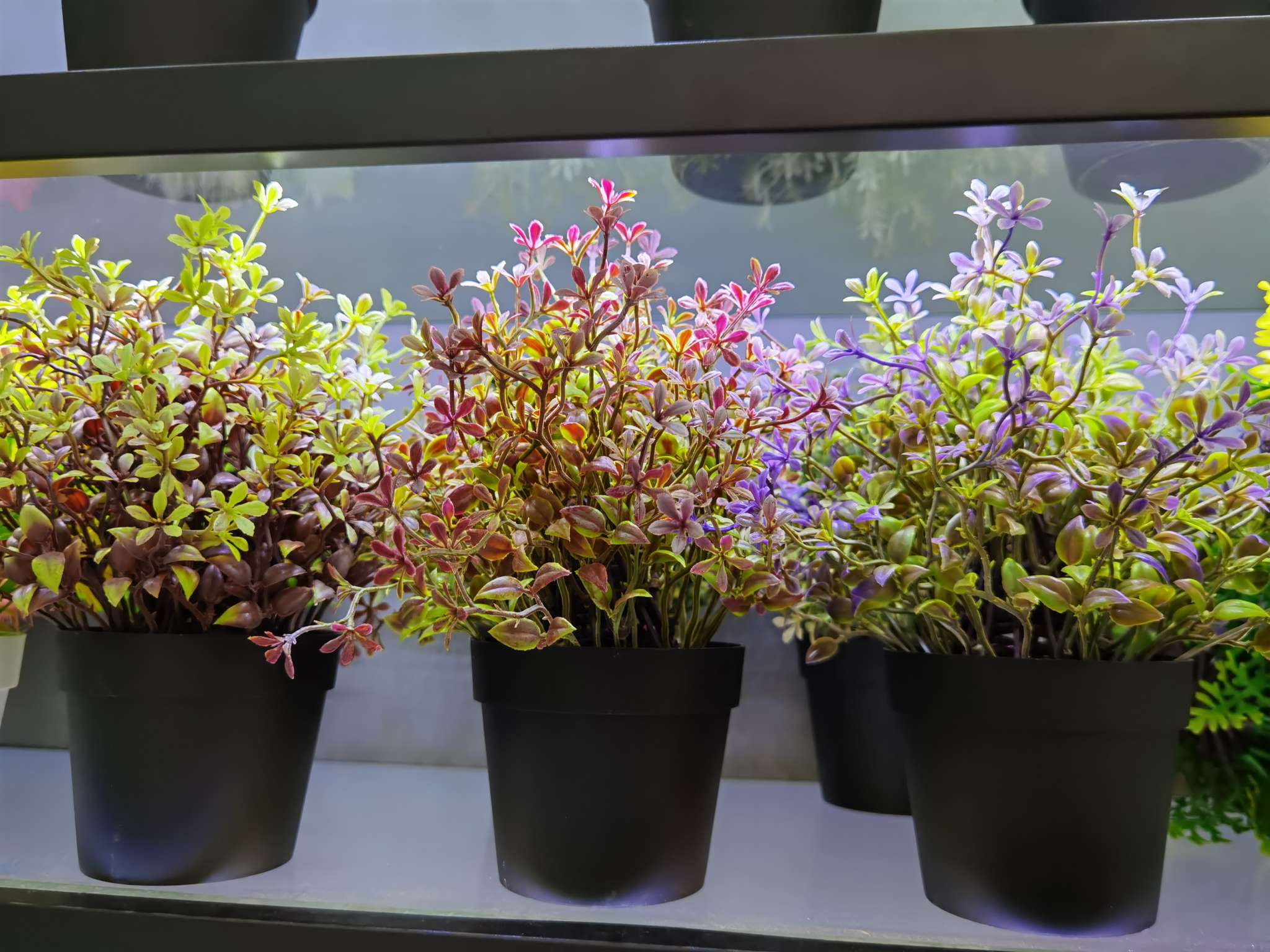 Artificial plant small potted plants, Nordic living room artificial flower decoration potted plants, dining table and coffee table artificial flower ornaments, green plants details Picture