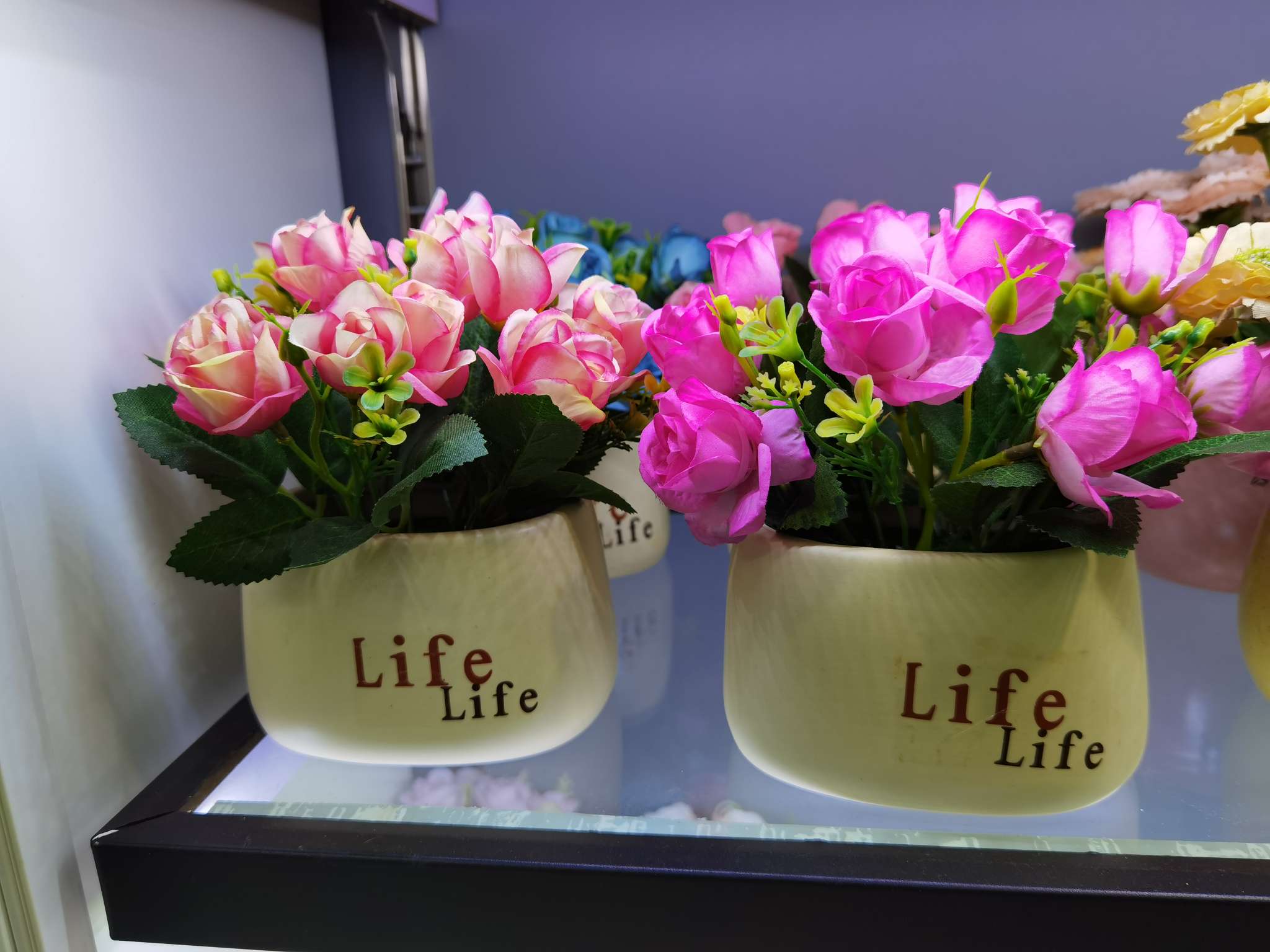 Artificial plant small potted plants, Nordic living room artificial flower decoration potted plants, dining table and coffee table artificial flower ornaments, green plant Settings detail image 1