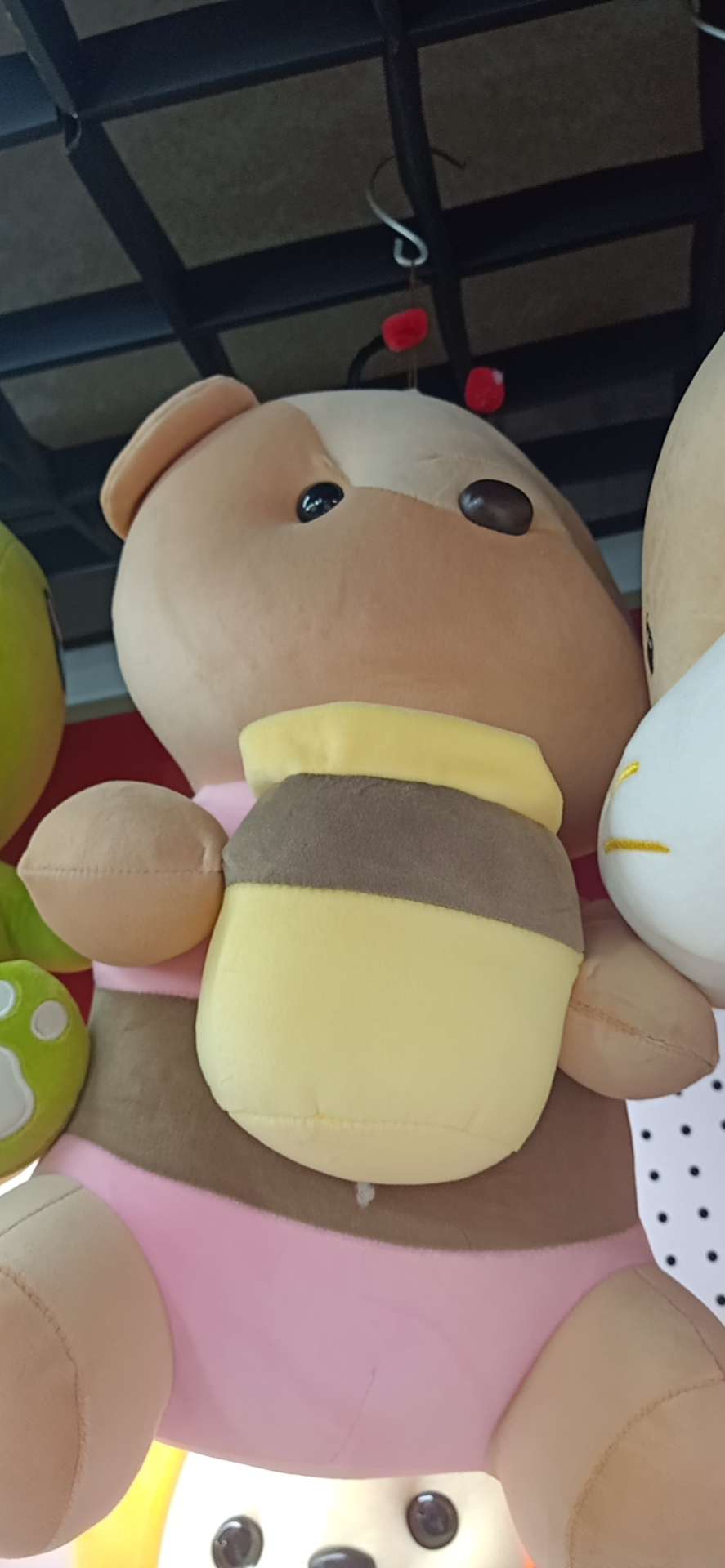 坐坐泡狗