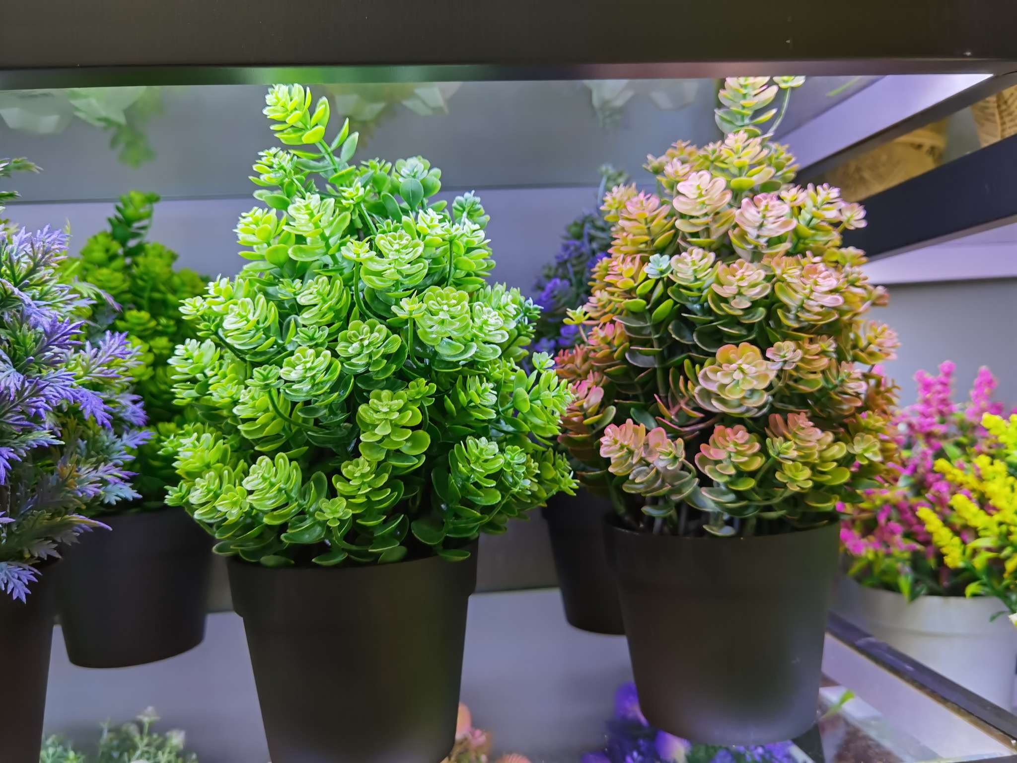 Artificial plant small potted plants, Nordic living room artificial flower decoration potted plants, dining table and coffee table artificial flower ornaments, green design detail image 1