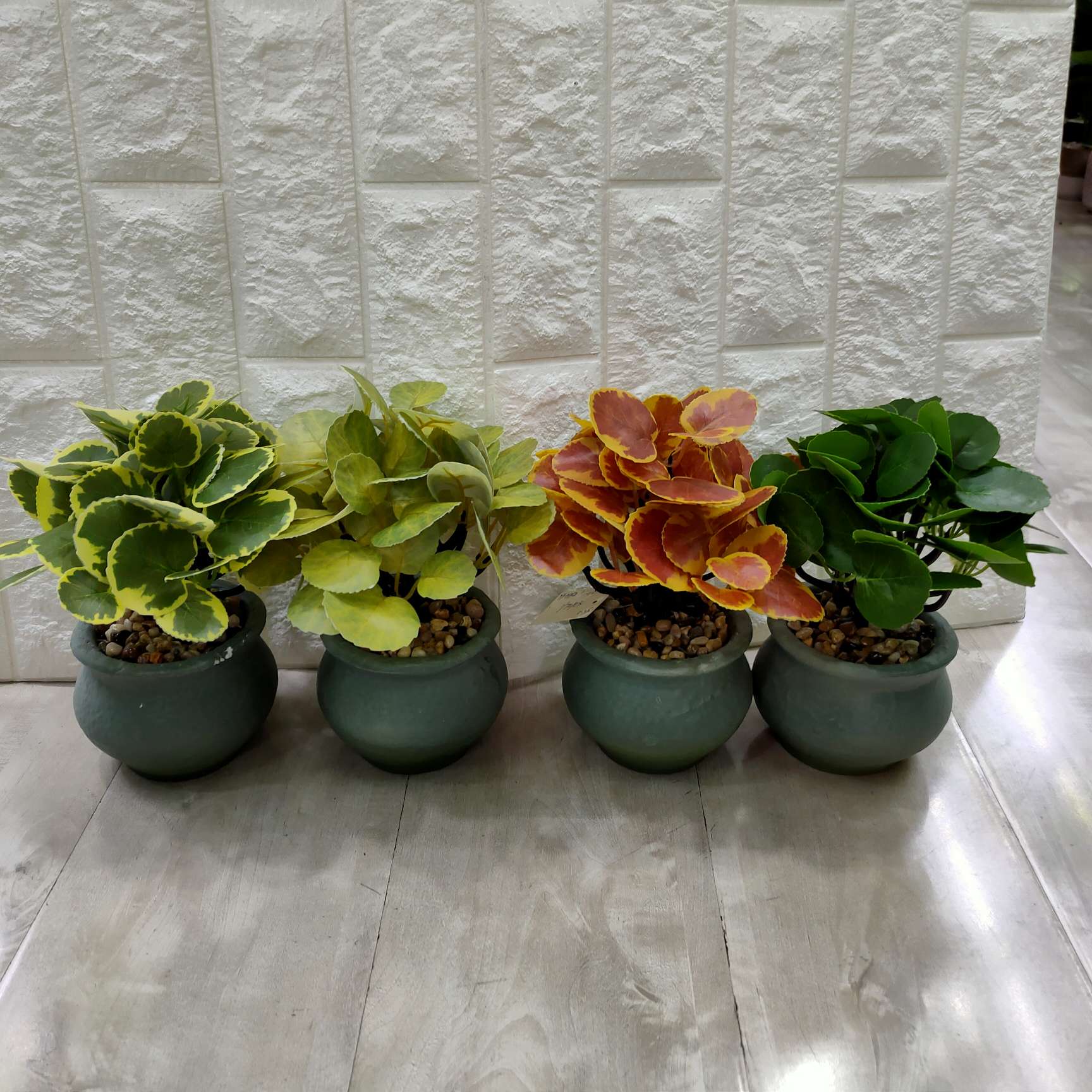 Plastic pot for small plants