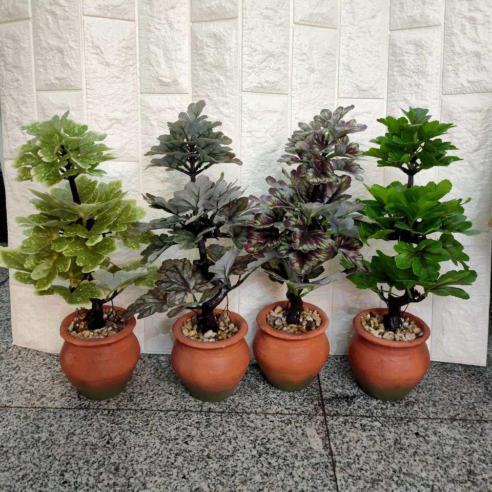 Tall plant