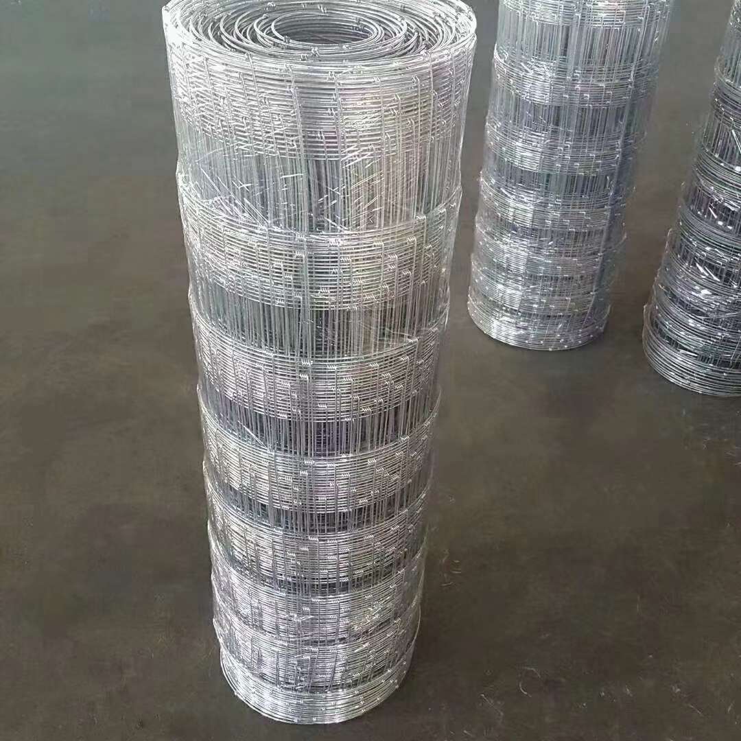 Оцинкованная проволочная сетка в сетке для скота details Picture