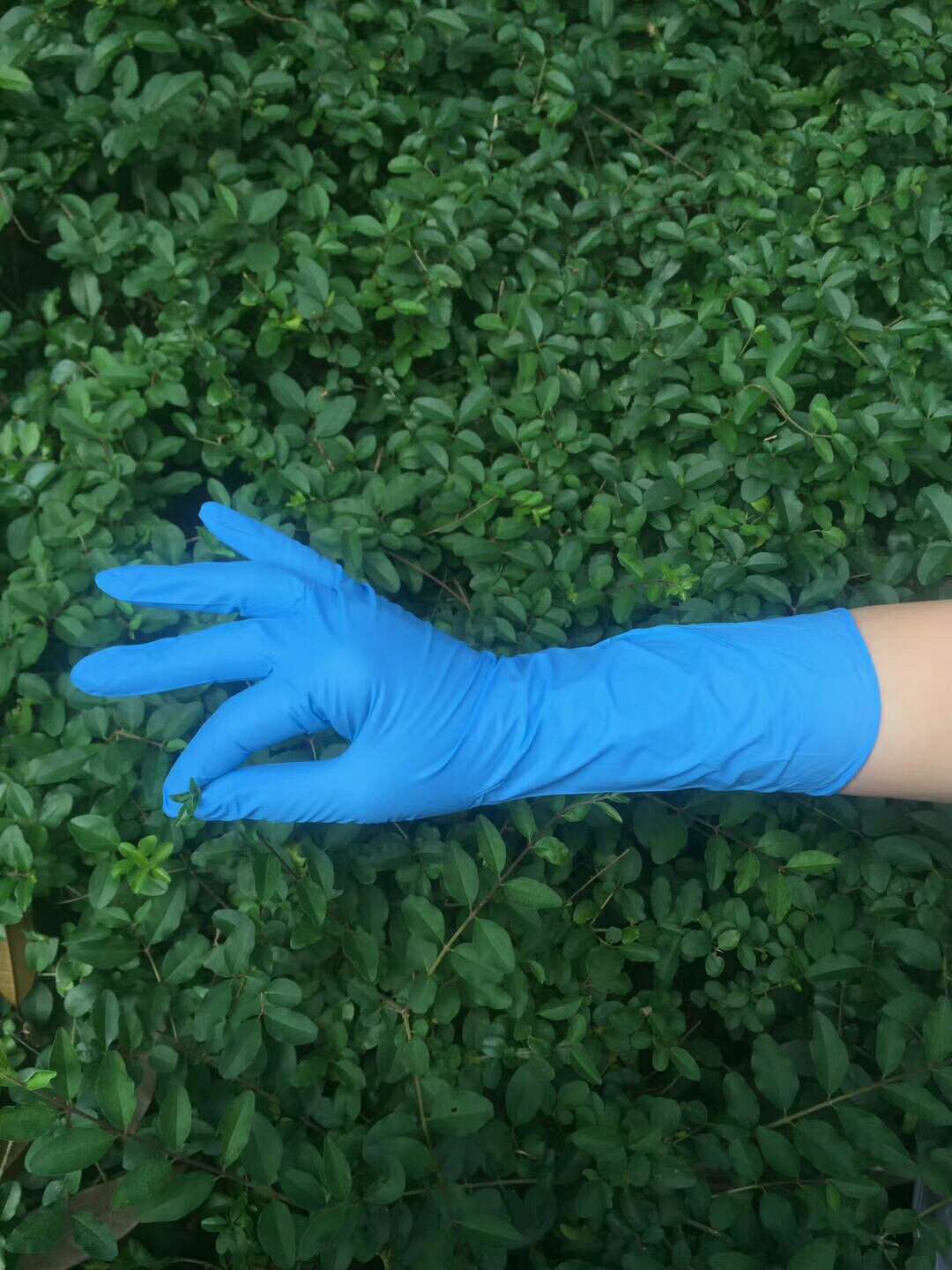 一次性手套盯腈产品图