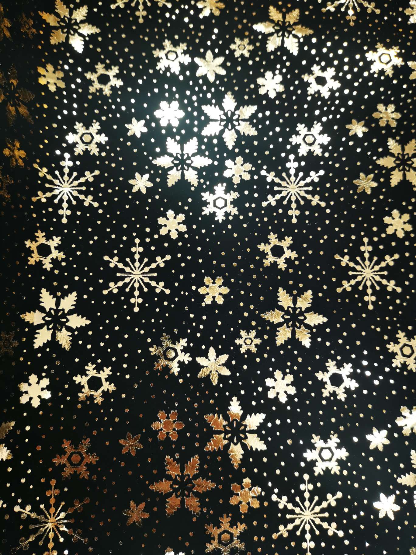 T—005 undefined