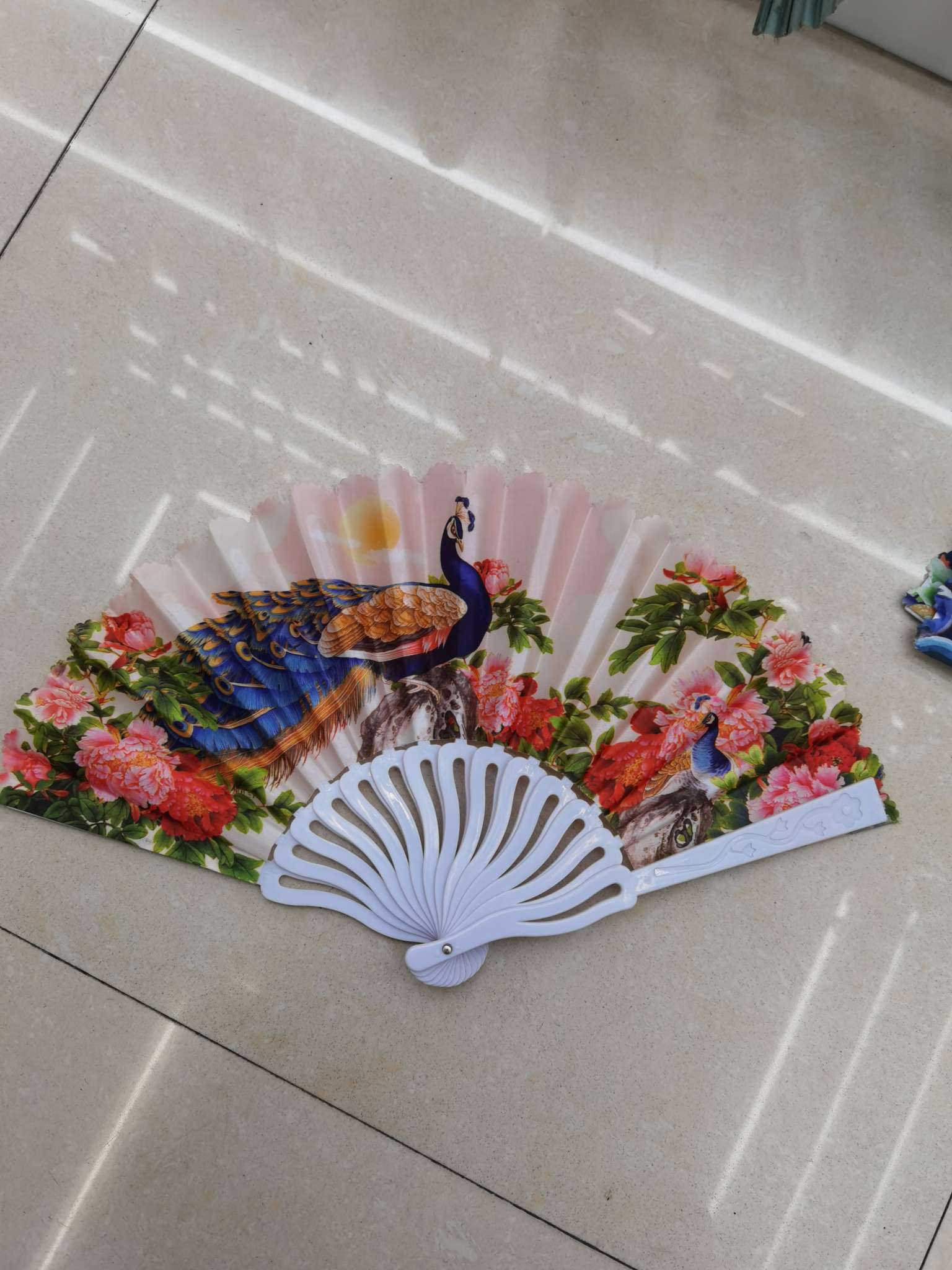 龙骨白干孔雀扇子产品图