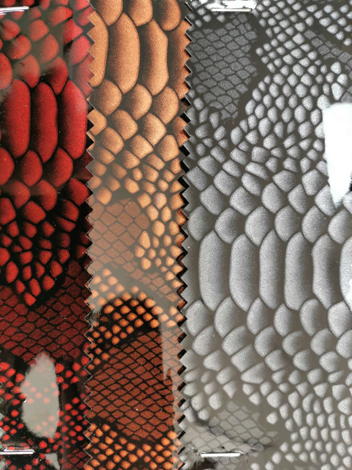 Color-changing snake pattern details Picture