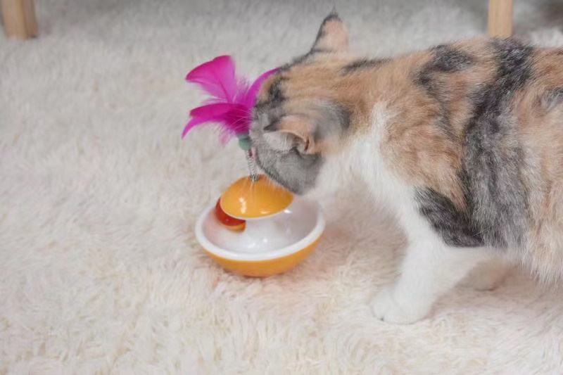 猫咪的最爱，不倒翁玩具详情3