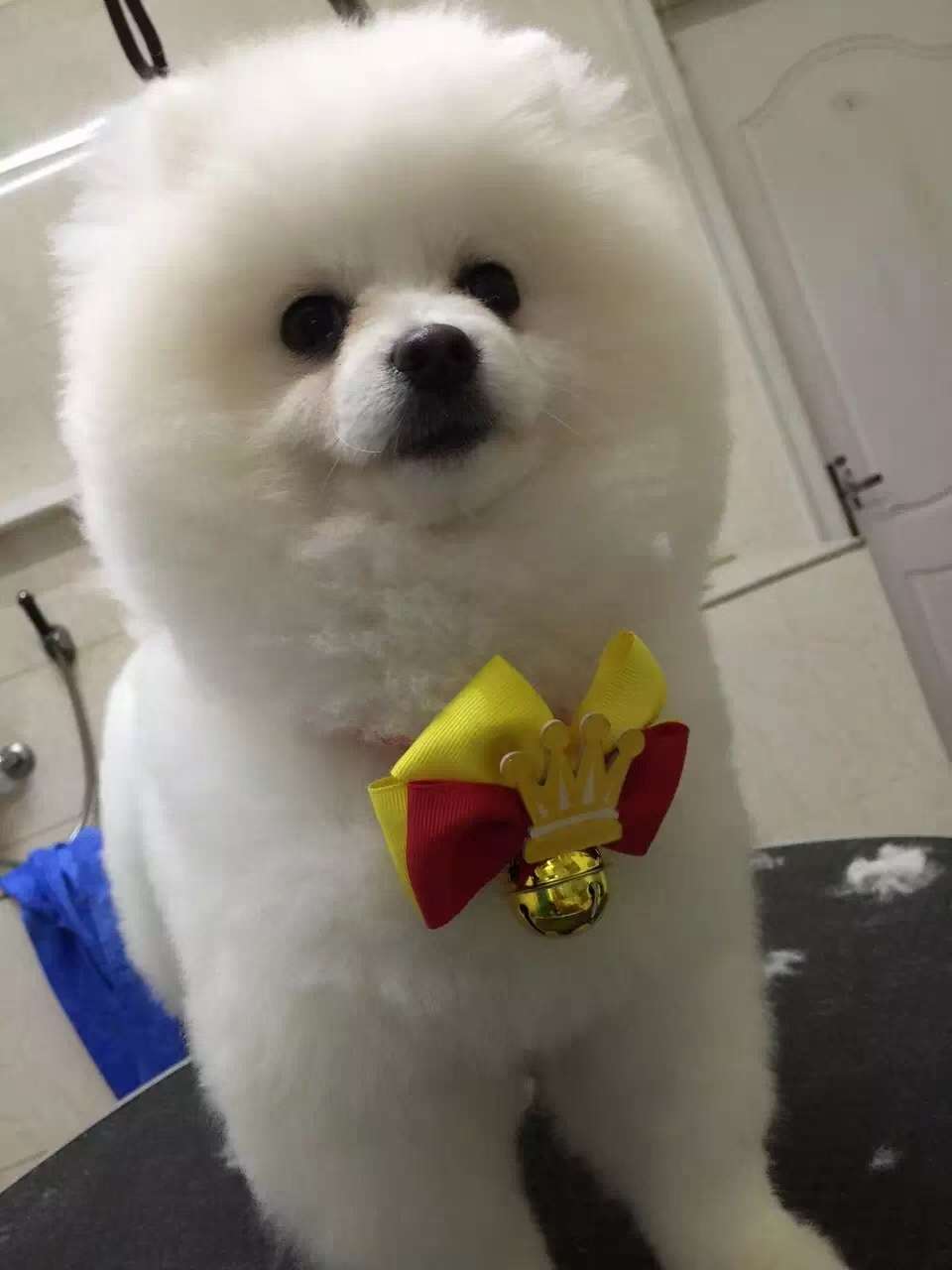 🎄 漫威领花骨折价清 🎄 原价8元每个，现价100元20个，       才5元 每个。 🎄 圣诞送会员，不错详情1