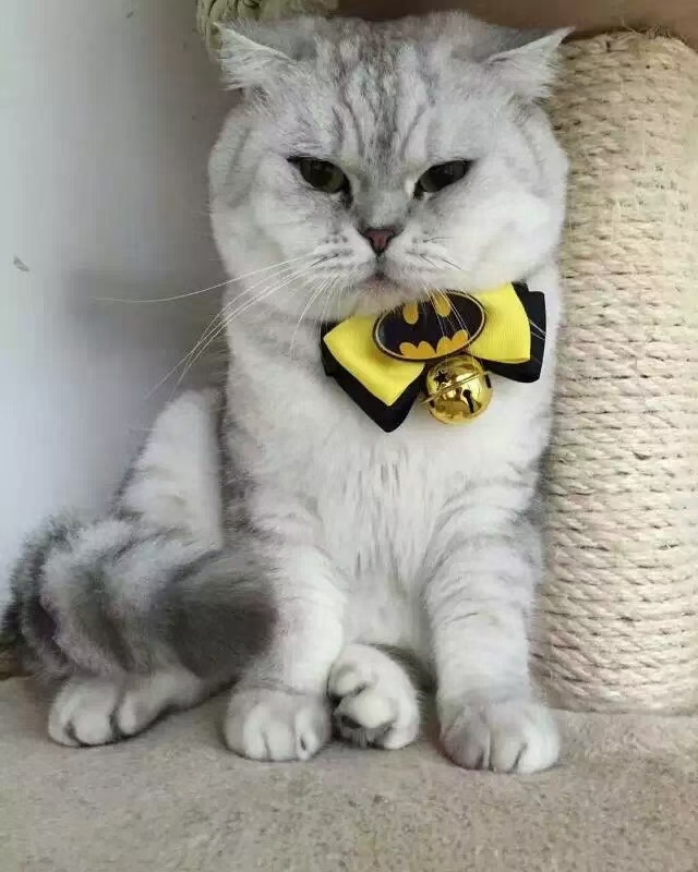 🎄 漫威领花骨折价清 🎄 原价8元每个，现价100元20个，       才5元 每个。 🎄 圣诞送会员，不错详情图7