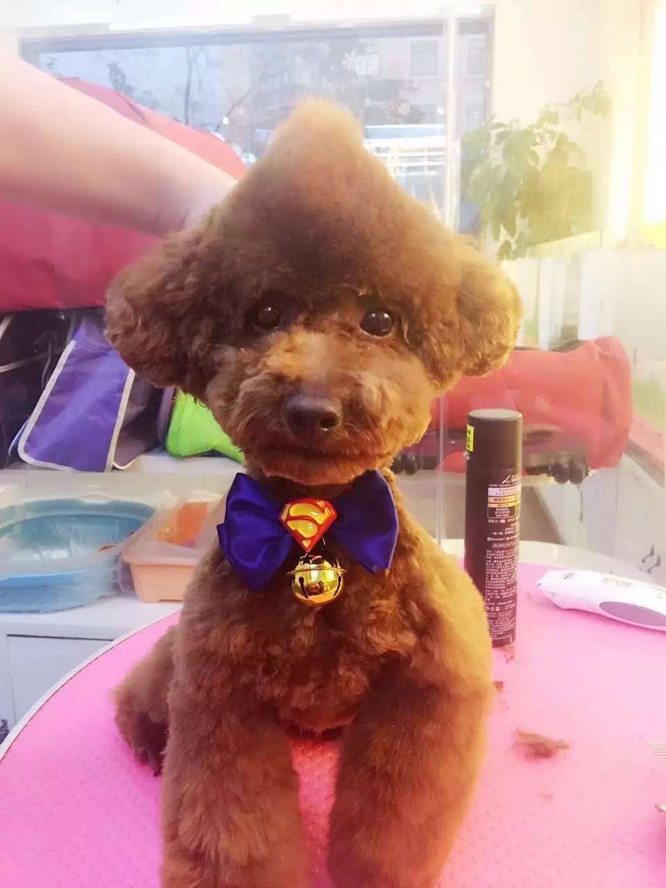 🎄 漫威领花骨折价清 🎄 原价8元每个，现价100元20个，       才5元 每个。 🎄 圣诞送会员，不错详情图10