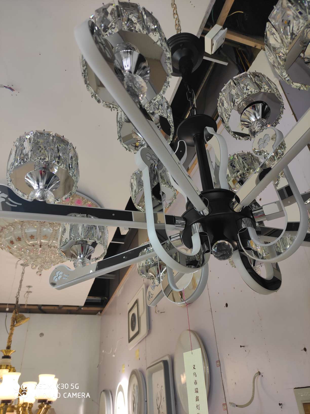 The "Fire Tree and Silver Flower" series of 12 chandeliers details Picture