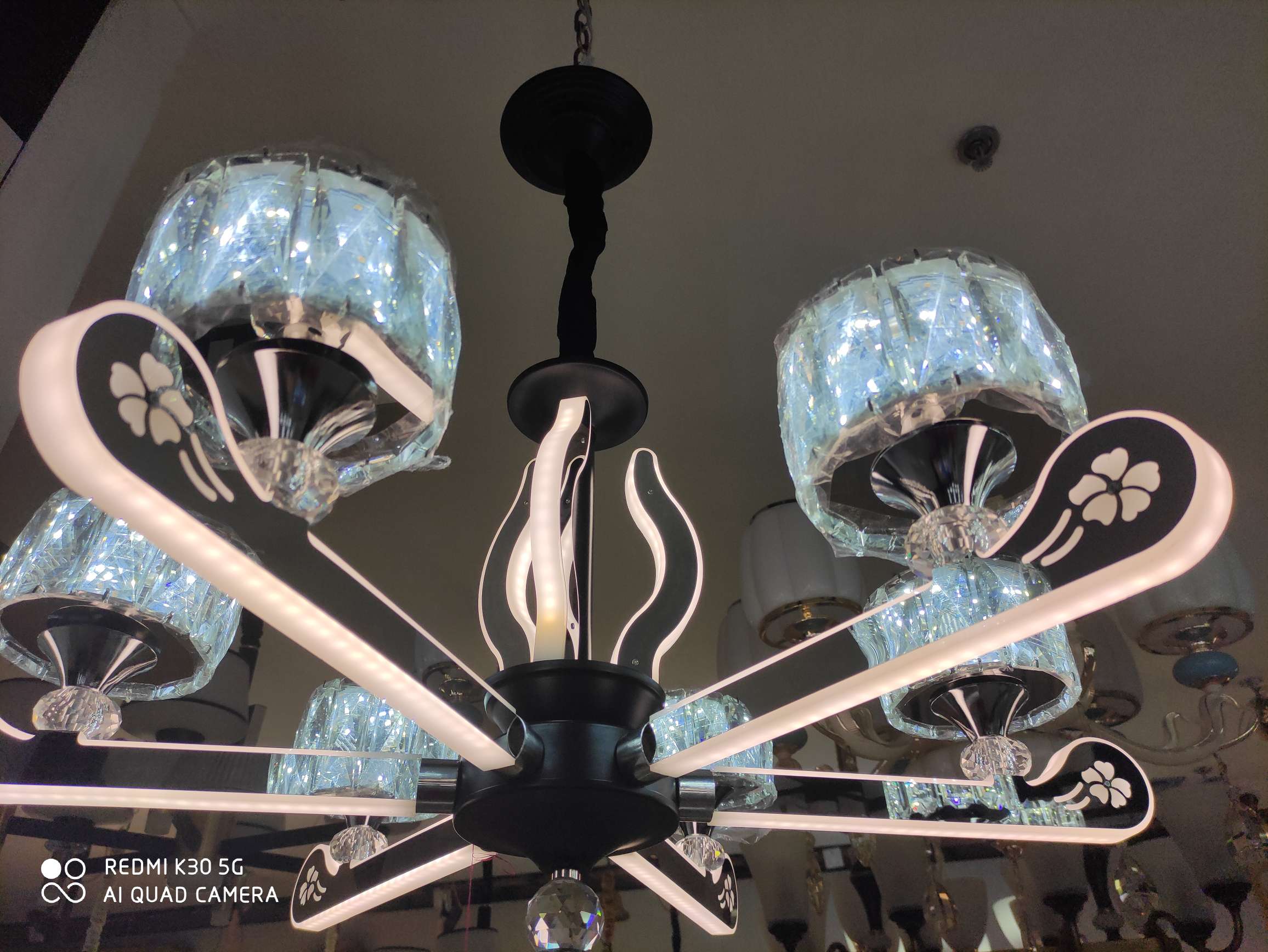 The "Fire Tree and Silver Flower" series 6-head chandelier details Picture