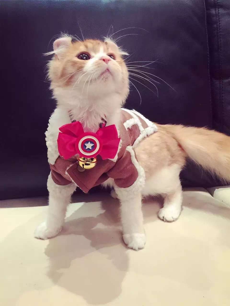 🎄 漫威领花骨折价清 🎄 原价8元每个，现价100元20个，       才5元 每个。 🎄 圣诞送会员，不错详情5