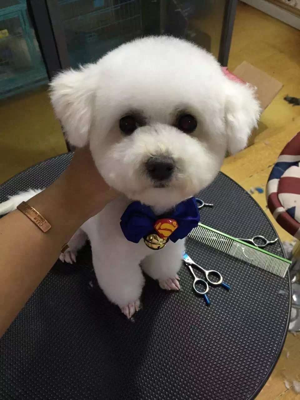 动漫/明星挂件实物图