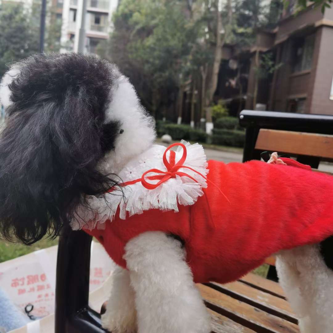 宠物宝宝衣服学院风金貂绒新年加厚外套详情图4