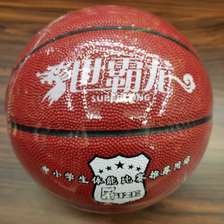 全国中小学生训练比赛篮球5号吸湿革世霸龙篮球