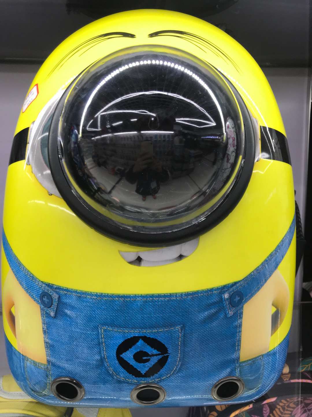 狗狗包、箱实物图