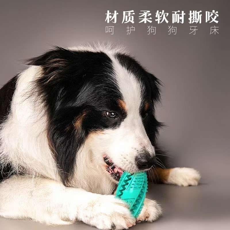 宠物牙刷漏食球🎉🎉🎉
尺寸：12*5.4cm详情1
