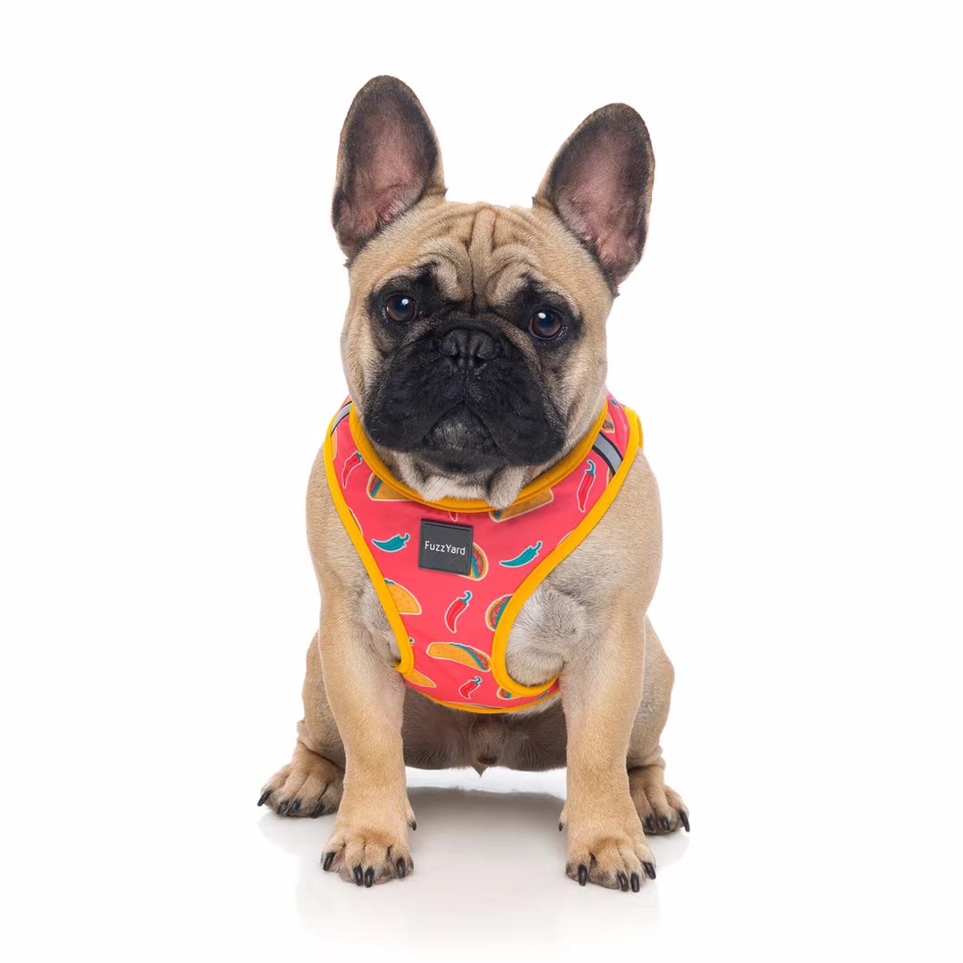 价格超低还有买赠！澳洲🇦🇺福希雅进口胸背，颜色鲜亮，超轻质地超柔软详情11