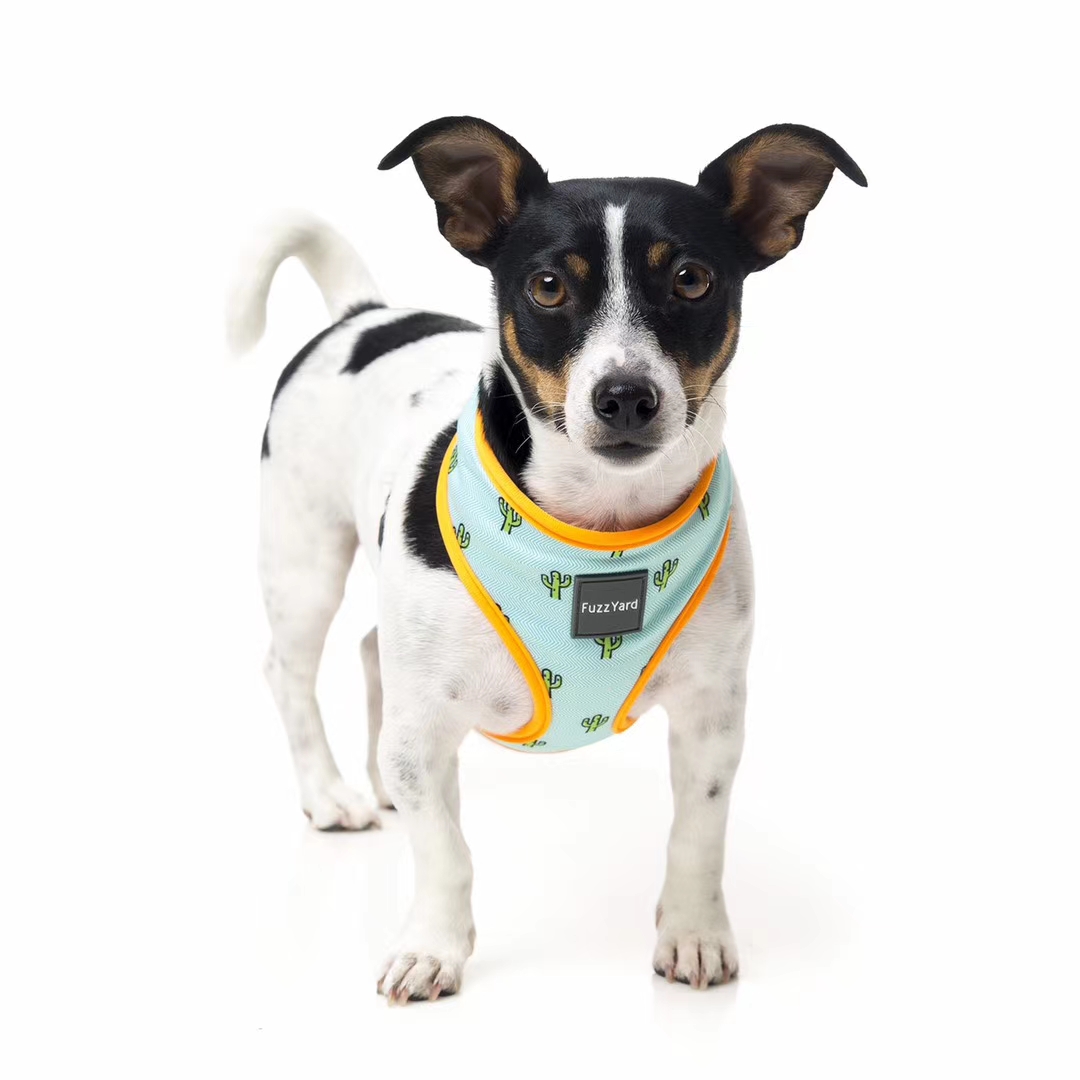 价格超低还有买赠！澳洲🇦🇺福希雅进口胸背，颜色鲜亮，超轻质地超柔软详情9