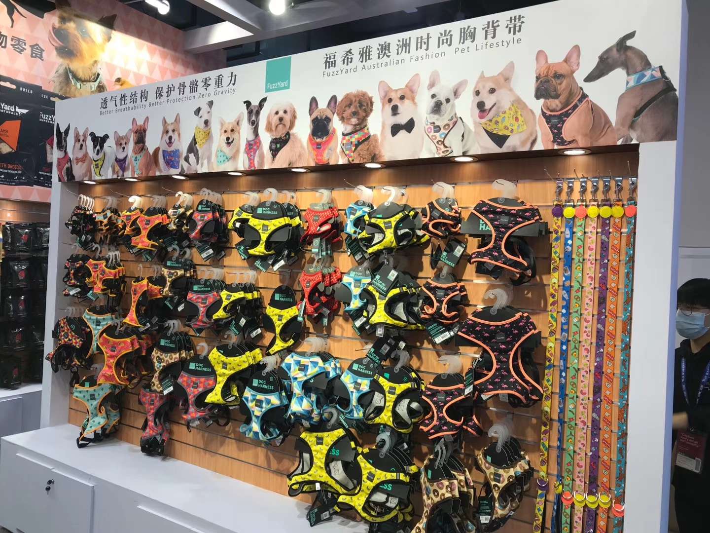 价格超低还有买赠！澳洲🇦🇺福希雅进口胸背，颜色鲜亮，超轻质地超柔软详情图8