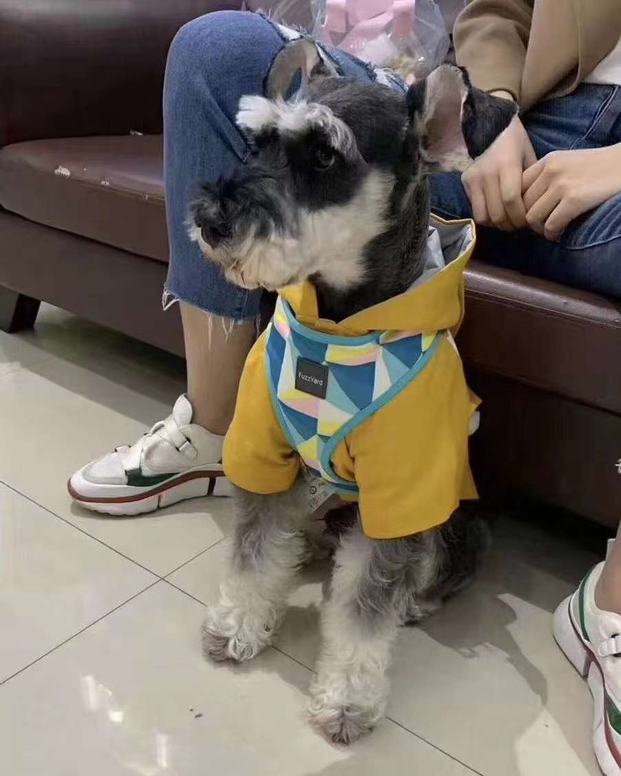 价格超低还有买赠！澳洲🇦🇺福希雅进口胸背，颜色鲜亮，超轻质地超柔软详情2