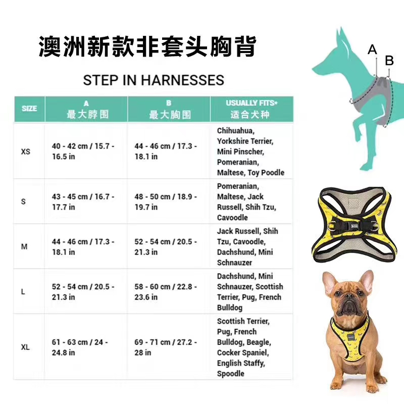 价格超低还有买赠！澳洲🇦🇺福希雅进口胸背，颜色鲜亮，超轻质地超柔软详情图7