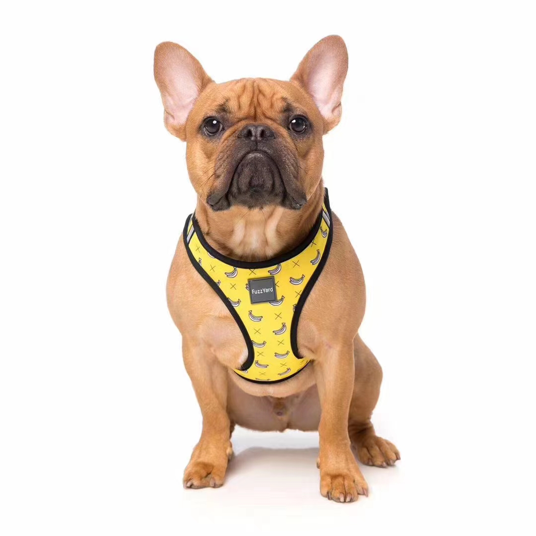 澳洲福希雅进口胸背，颜色鲜亮，超轻质地超柔软详情图10