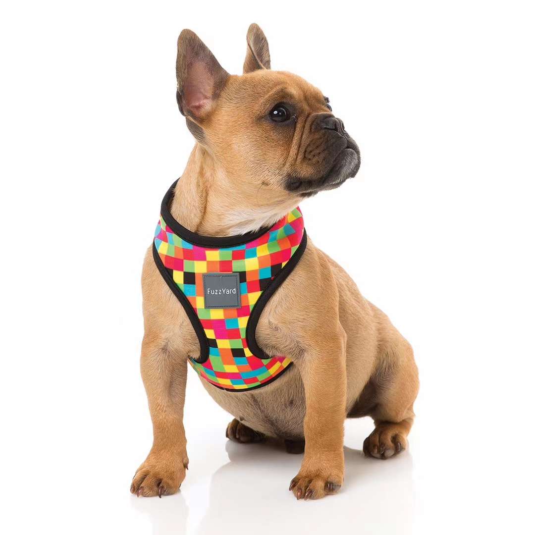 进口胸背/寵物进口胸背/寵物胸背帶产品图