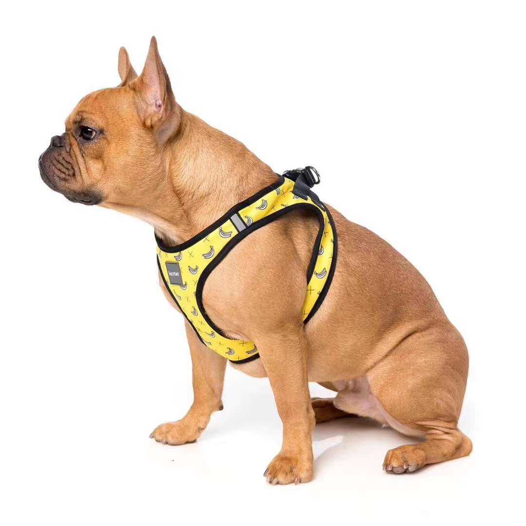 寵物进口胸背/进口胸背/进口胸背寵物产品图