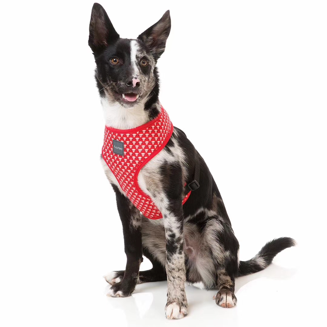 价格超低还有买赠！澳洲🇦🇺福希雅进口胸背，颜色鲜亮，超轻质地超柔软详情13