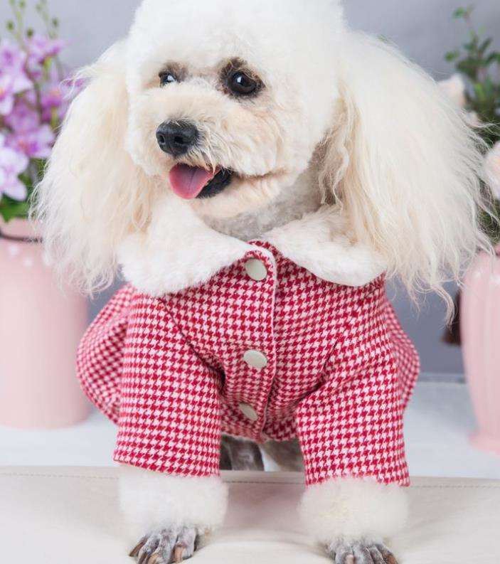 宠物宝宝衣服灯芯绒棉裙详情图13