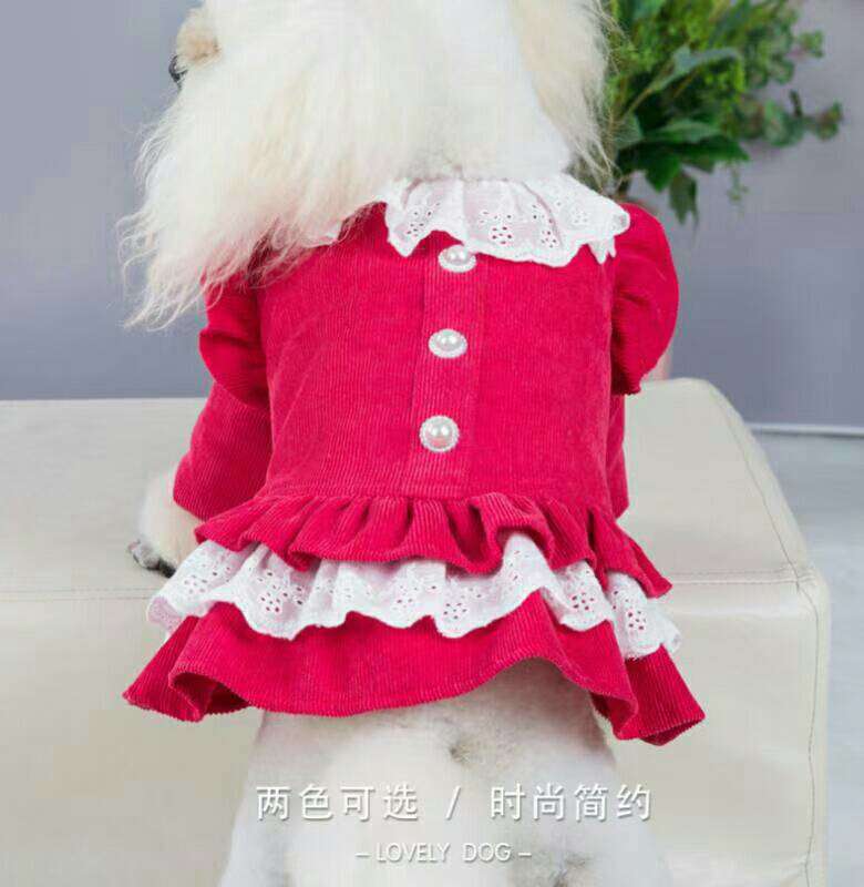 宠物宝宝衣服灯芯绒棉裙详情图4