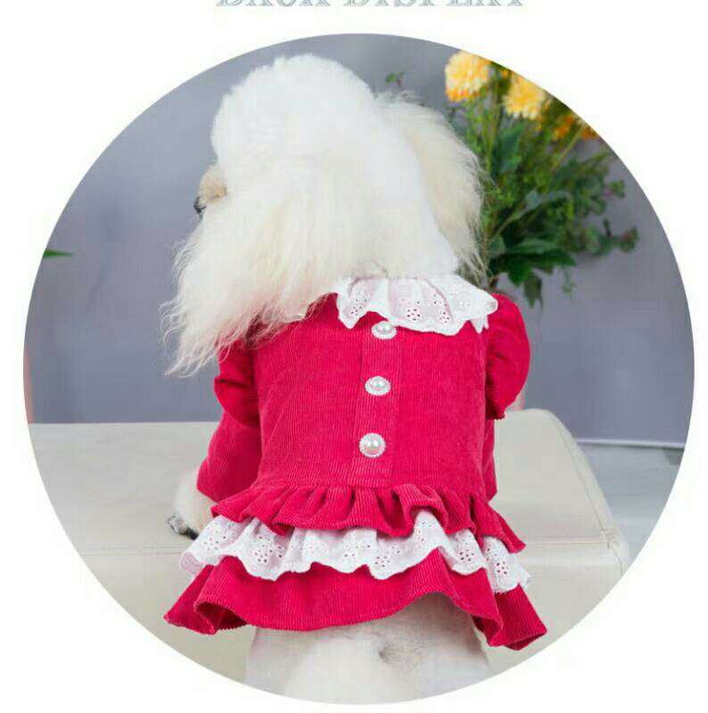 宠物宝宝衣服灯芯绒棉裙产品图