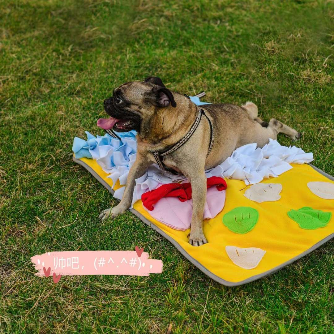 宠物宝宝闻溴垫可以缓慢进食益智趣味消除焦虑消耗体力溴闻10分钟=散步一小时怎么玩都好玩！详情图8