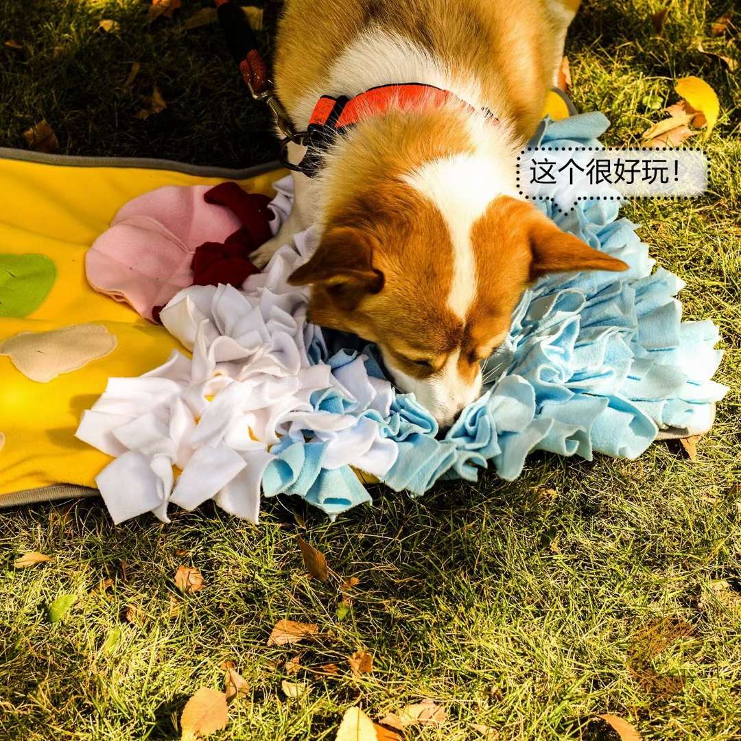宠物宝宝闻溴垫可以缓慢进食益智趣味消除焦虑消耗体力溴闻10分钟=散步一小时怎么玩都好玩！详情图13