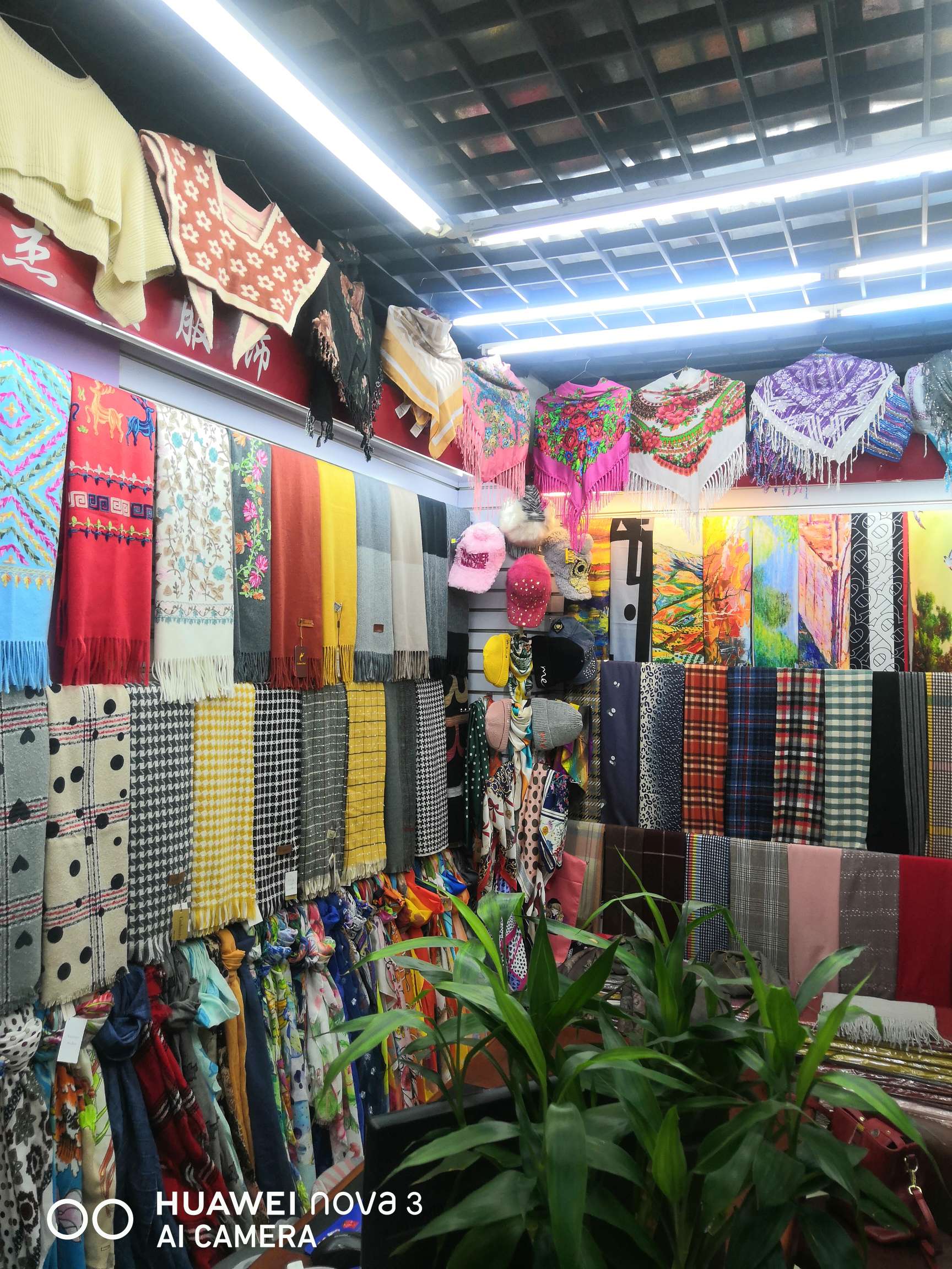 CH scarf describe pic - 2
