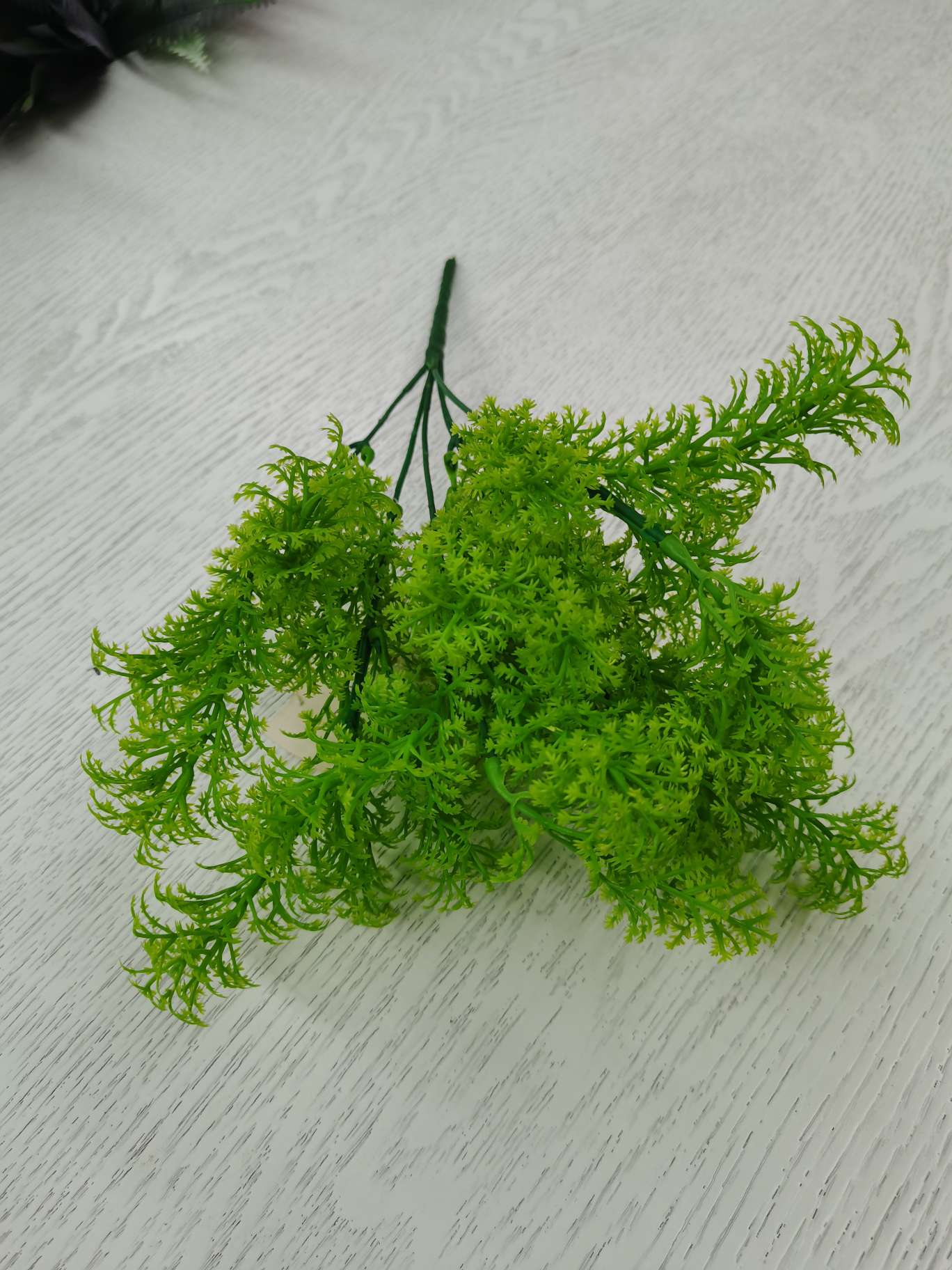 室内盆景/室外工程产品图