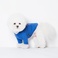 💙 冬季里的一抹蓝💙宠物宝宝衣服新款蓝色产品图