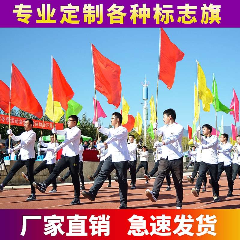 彩旗旗子旗子旗子旗子旗子旗子详情图13